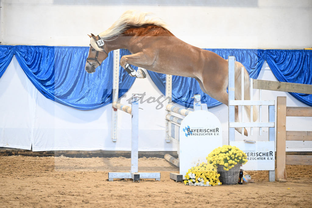 Kat-Nr. 34 nn v. Starino I_Grimminger_48250729 | hf-fotografie - Realisiert mit Pictrs.com