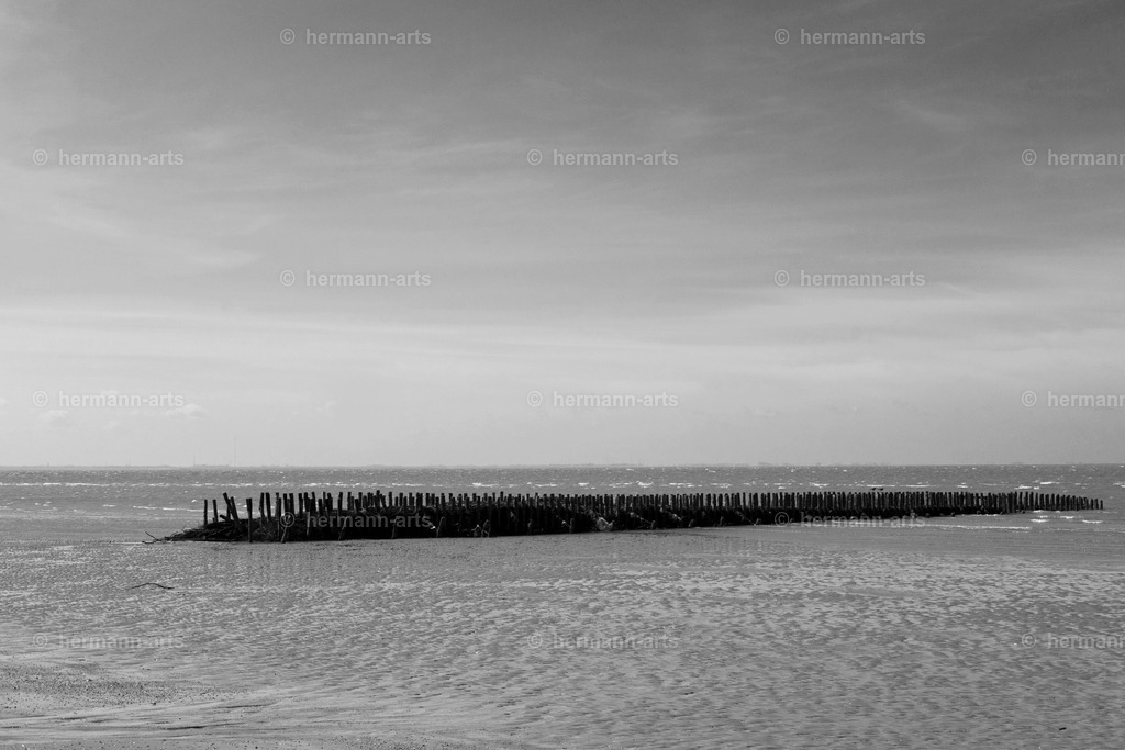 Hermann-Arts_Seaside_252 | Photo Foto Kunst Art schwarzweiss Bilder Rheine Münster Berlin Blumen 