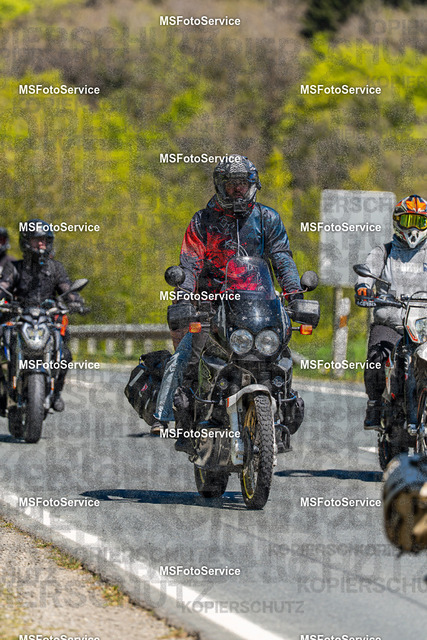 MSFotoServiceXXX296 | MSFotoService - Realisiert mit Pictrs.com
