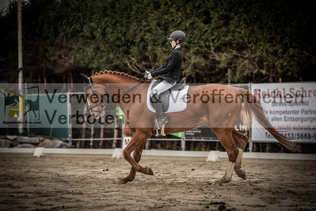 DSC_0165 | equestrian-live-com