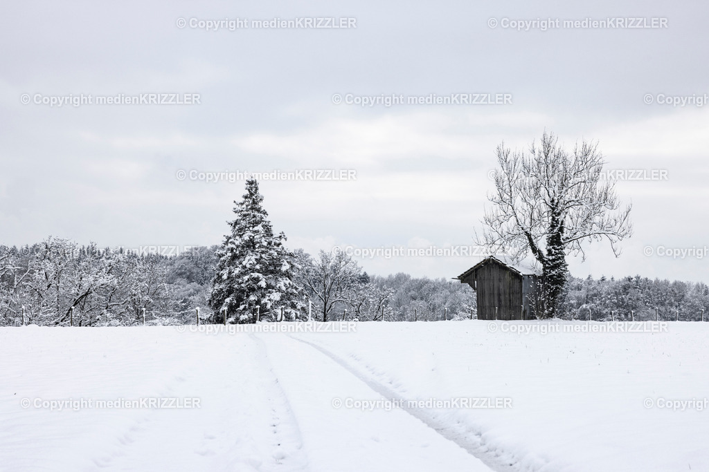 _J3A9493 | medienkrizzler - Realisiert mit Pictrs.com