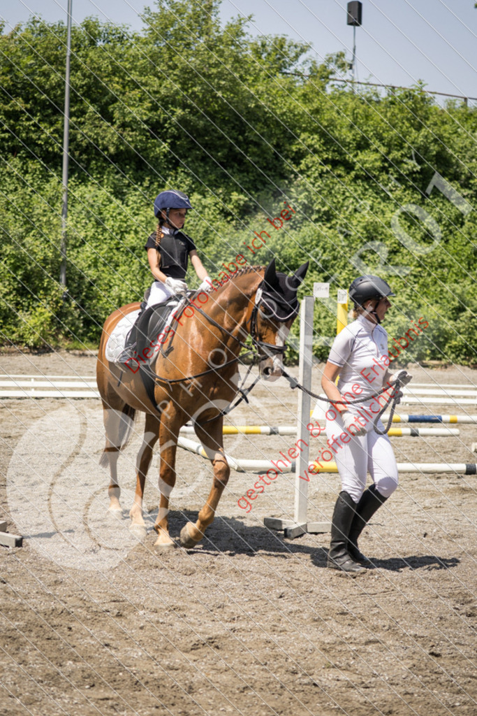 IMG_3521 | Sport-, Event- und Tierfotos in Profiqualität. Einfach auswählen, bestellen und herunterladen. Dein Moment – perfekt festgehalten.