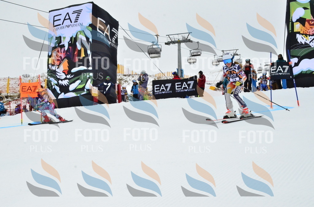 _ELE3346 | holidayphoto