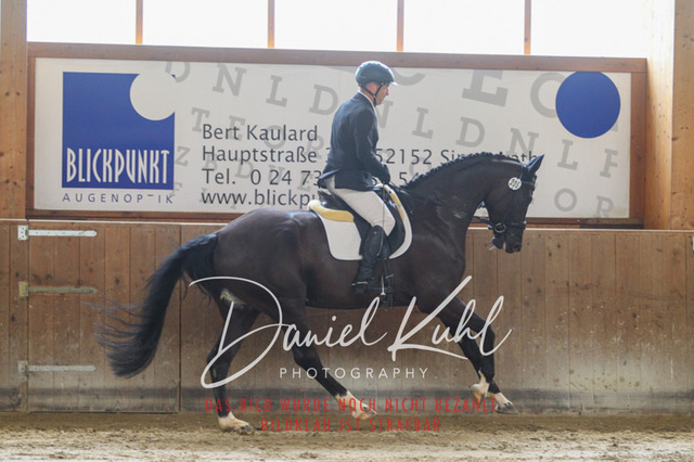 DKP43149 | Turnierfotos kaufen im Webshop von Daniel Kuhl Photography – entdecke professionelle Reitsportfotos aus Turnieren & Events. Hochwertige Turnierbilder online bestellen & sichern. Jetzt Fotos von Reitsportturnieren kaufen!