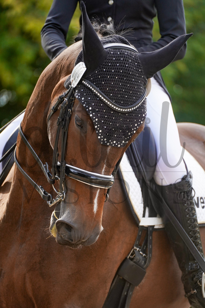 rveinoedsamstag (1762) | d.tail Visions - Shop - Realisiert mit Pictrs.com