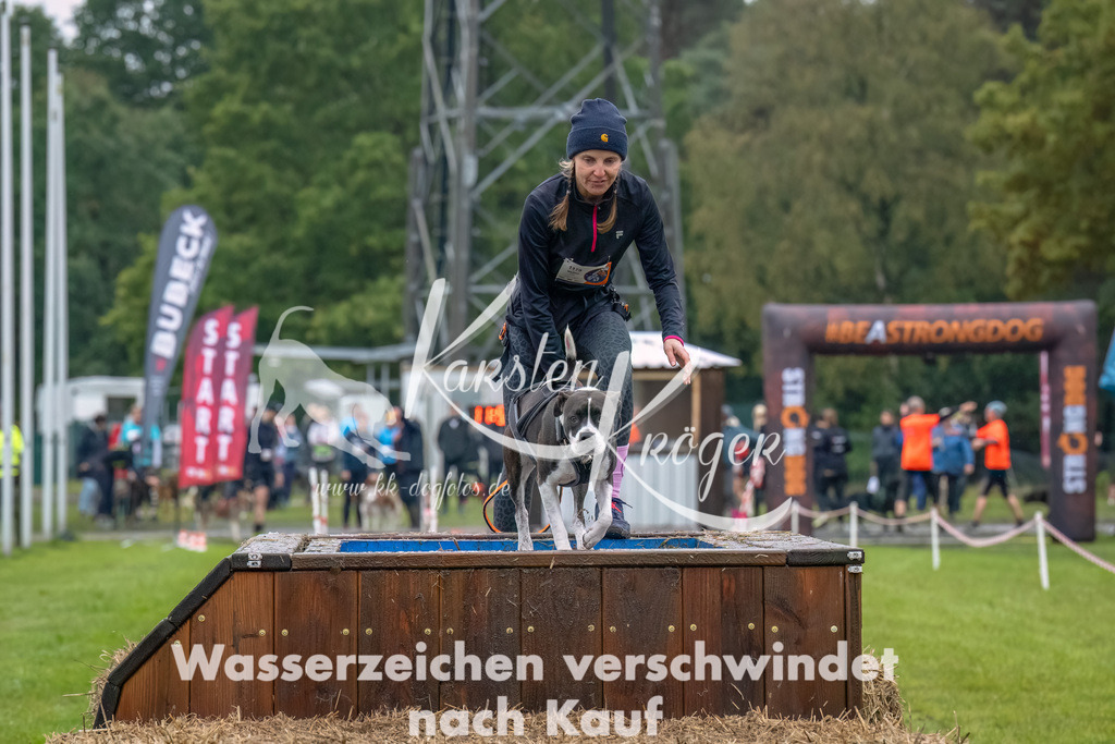 1200--13 | kk-dogfotos