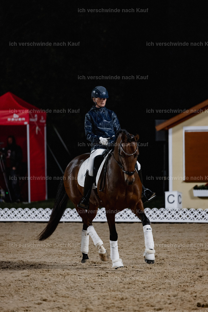 FHClassics-60 | working equitationturnier fotograf videograf stoibphotography marixx film working equitation deutschland reitsport turnierfotografie eventfotografie equestrian events