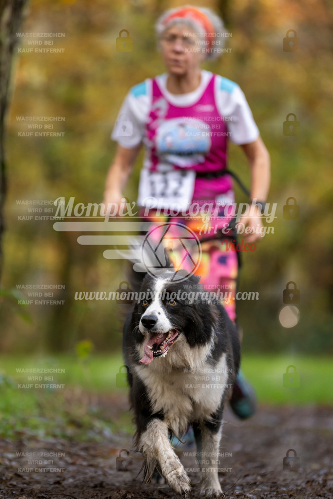 MompixPhotography_Bischwiller23_Canicross-122 | PayLife
