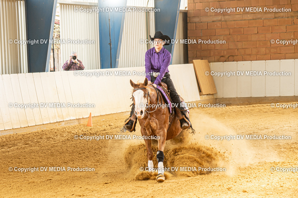 MIT00369 | dv-media-shop - Realisiert mit Pictrs.com