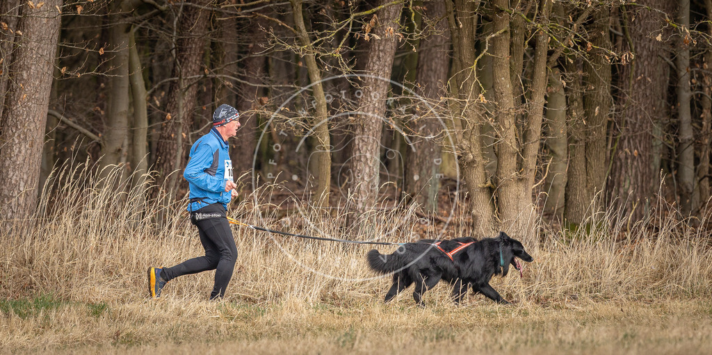 DV3A4227 | Hundefotografie, Tierfotograf, Pfotenfotografie, Fotoshooting Hund, Hunde Portrait, Hundesport, Hundeportraits, Heideshooting, Hunde, Sportfotograf, Hundefotograf, Turnierhundsport, THS,  - Realisiert mit Pictrs.com