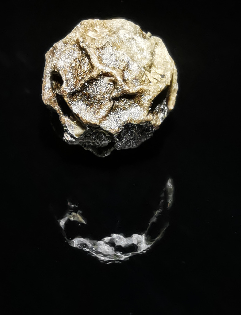 PSX_20230131_230228 | mtkfoto_ - Realisiert mit Pictrs.com