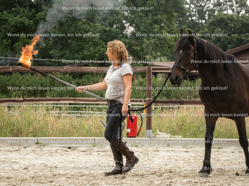 598A7222 | photographylinaismer - Realisiert mit Pictrs.com