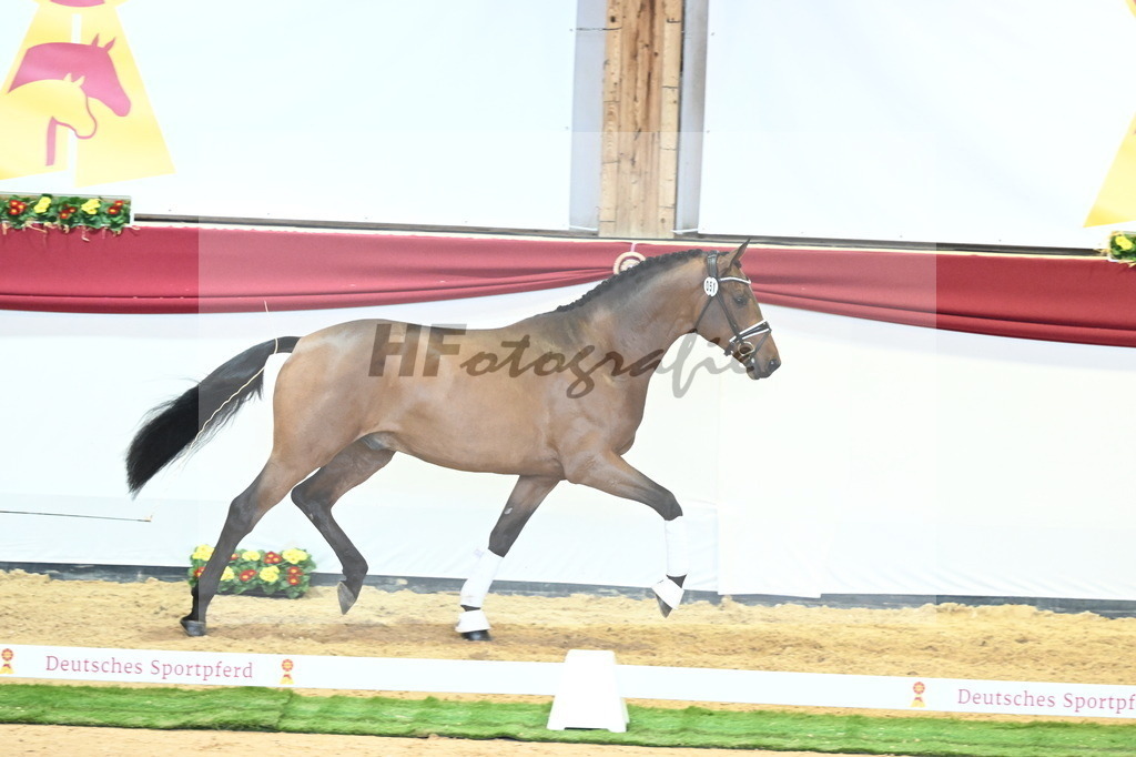 Kat.-Nr. 51 v. Freiherr von Stein_Graditz_2240606 | hf-fotografie - Realisiert mit Pictrs.com