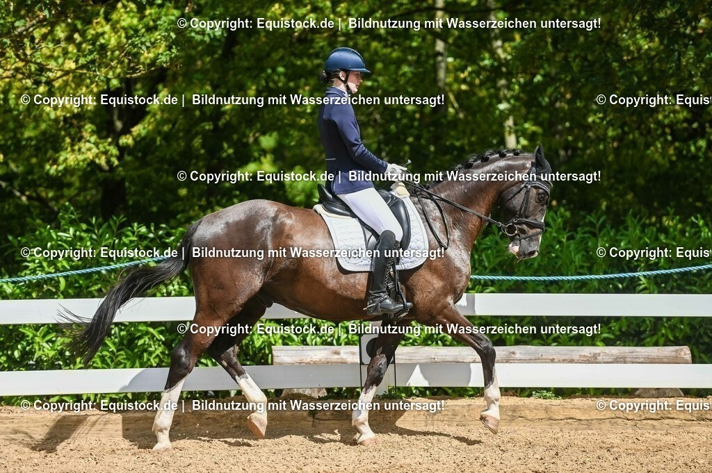 20230715_02_Dressurreiterprüfung Kl.L_0263 | equistock