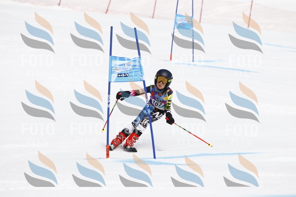 _U3G4474 | holidayphoto