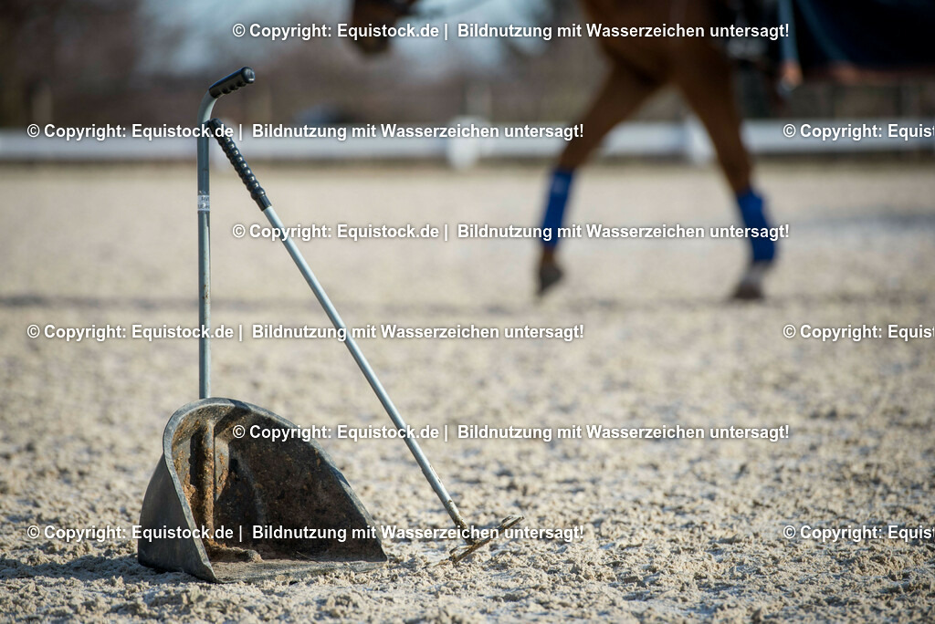 20161213_Mistboy_0004 | Foto: Thomas Hartig