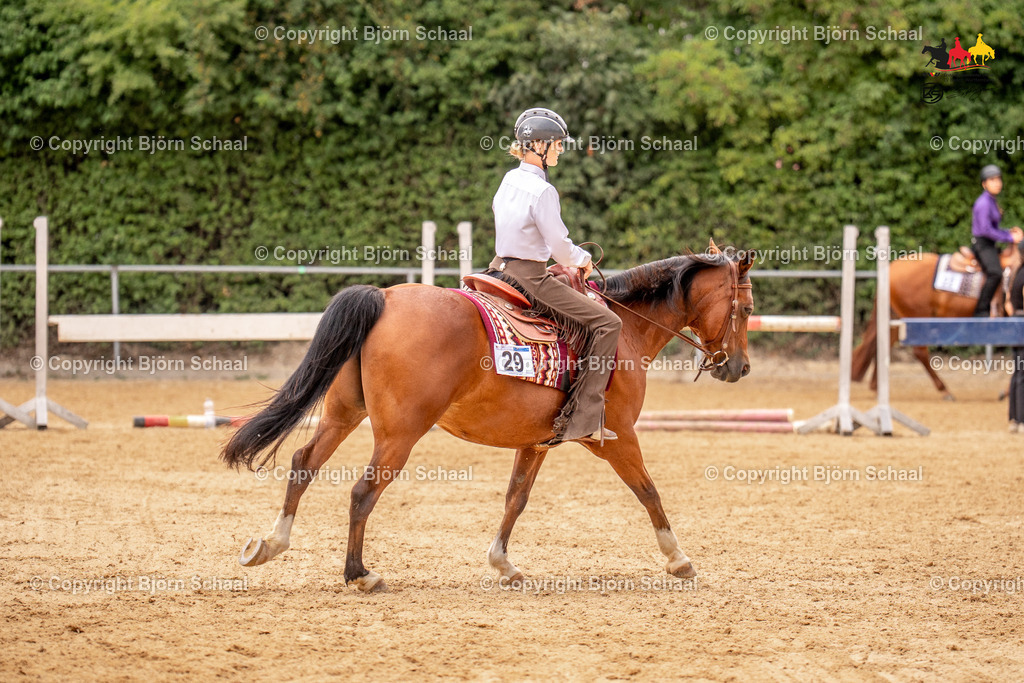 LMS06267 | BS-foto