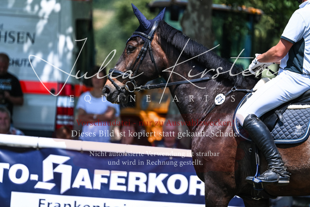 DSC_0319 | Pferde- und Turnierfotografie in Westsachsen. Pferdeportraits, Auftragszeichnungen und intuitive Kunst.