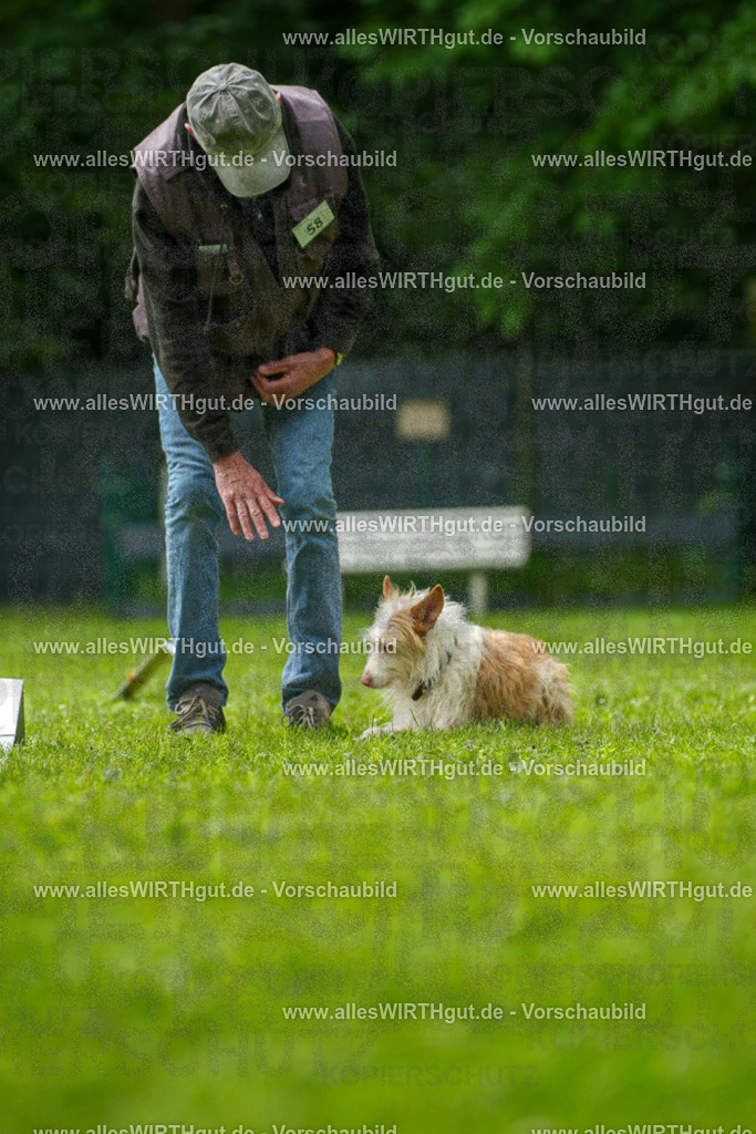 @allesWIRTHgut_Tierfotografie - www.allesWIRTHgut.de - 7R501332 | Professionelle Tierfotografie in Mönchengladbach von Daniel Wirth (allesWIRTHgut). Liebevolle & natürliche Bilder von Hunden & Katzen für unvergessliche Erinnerungen.
