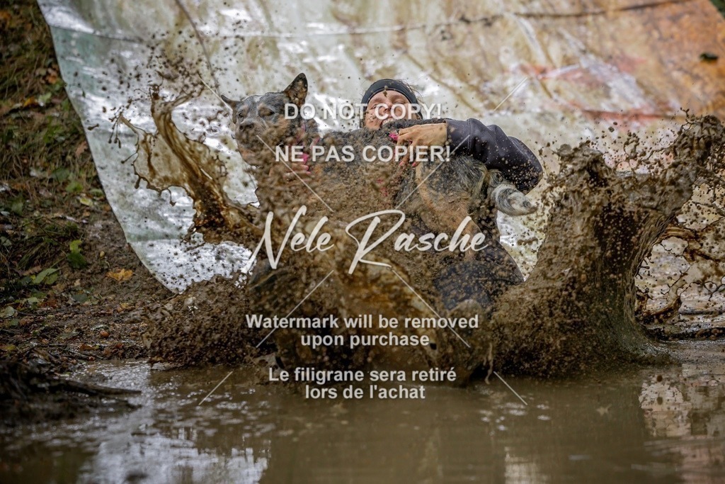 nelerasche_Hunsrück_Sa1430-1500_330-final | nelerasche