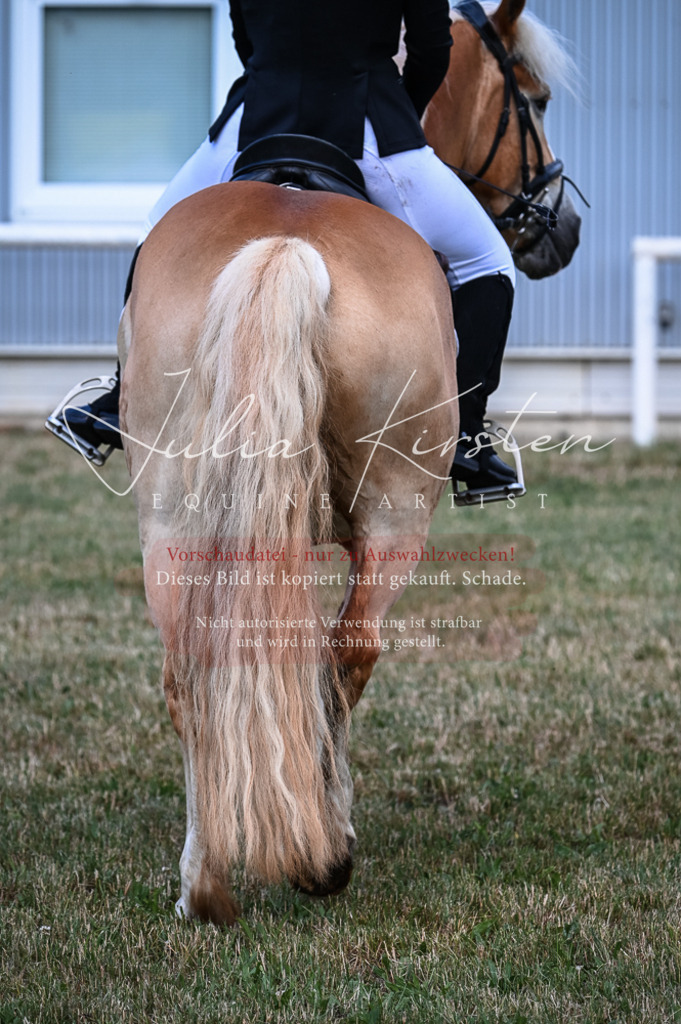 DSC_8095 | Pferde- und Turnierfotografie in Westsachsen. Pferdeportraits, Auftragszeichnungen und intuitive Kunst.