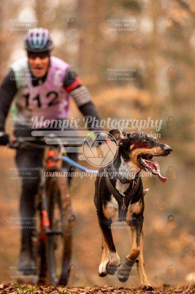 AKM_ST_2023_SAM_Bike-127 | PayLife