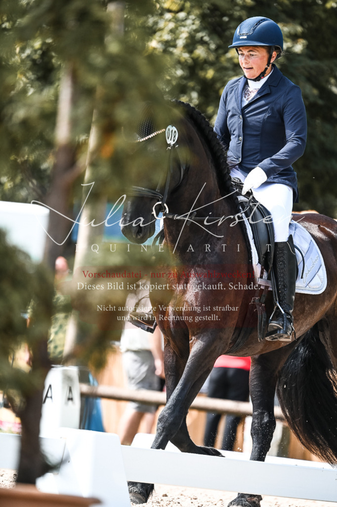 DSC_5390 | Pferde- und Turnierfotografie in Westsachsen. Pferdeportraits, Auftragszeichnungen und intuitive Kunst.