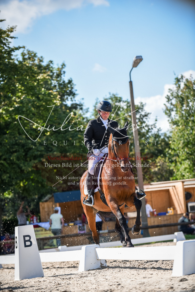 DSC_9646 | Pferde- und Turnierfotografie in Westsachsen. Pferdeportraits, Auftragszeichnungen und intuitive Kunst.