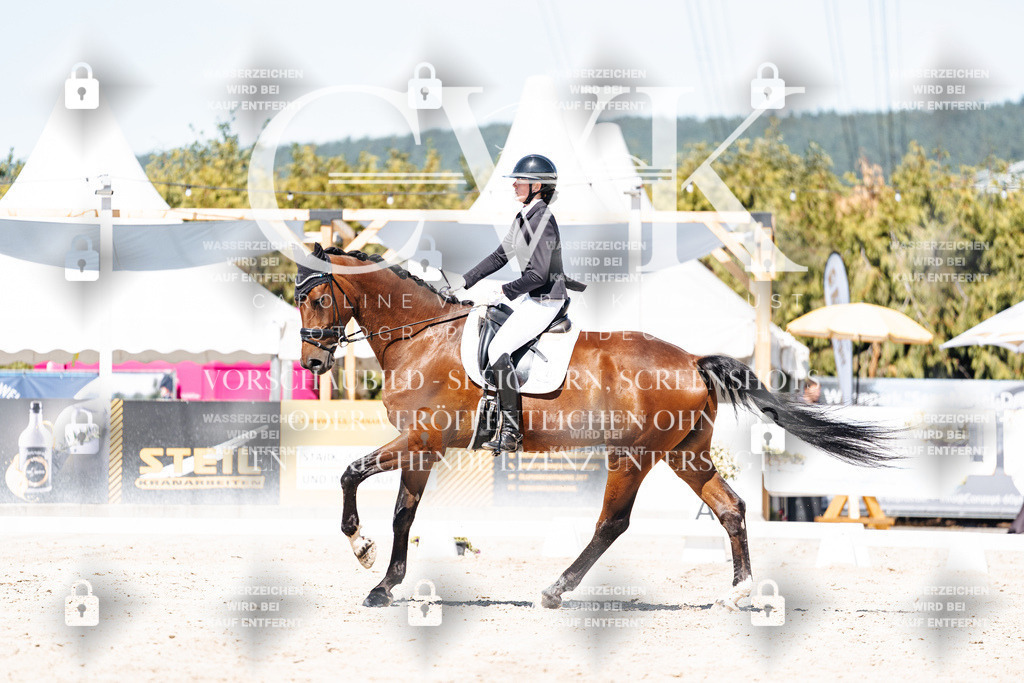 CK909790 | Turnierfotografie Pferdefotografie Trier Rheinland-Pfalz Pferdesport Reitsport Tierfotografie Sportfotografie Pferdevideo Pferdevideografie Equestrianvideography equestrianphotography  - Realisiert mit Pictrs.com