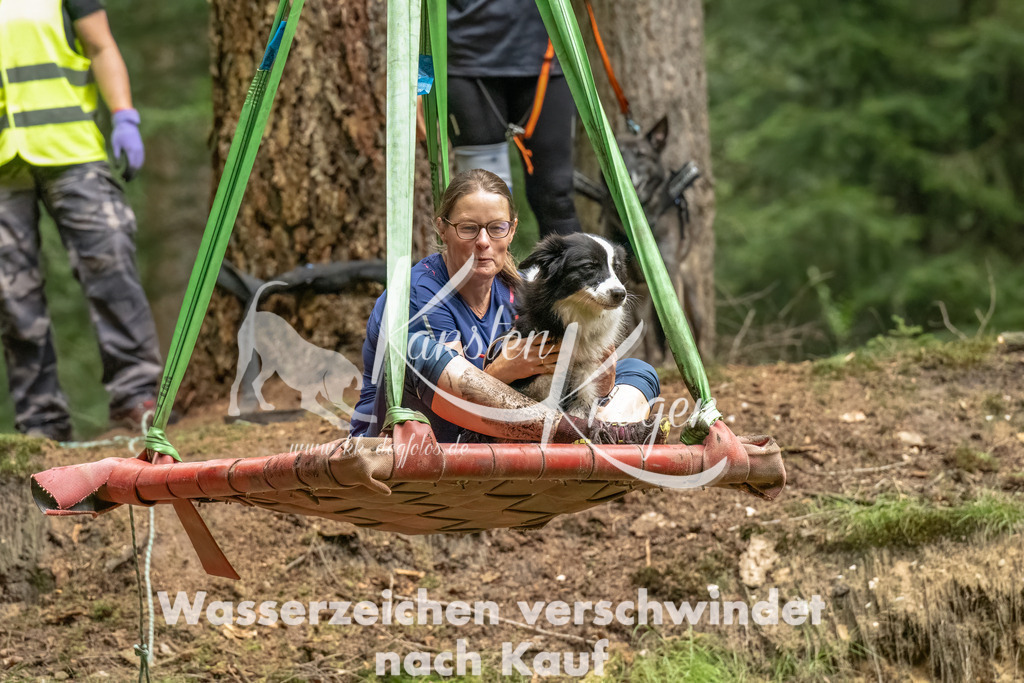 1242_ZZ91639-Bearbeitet-2 | kk-dogfotos