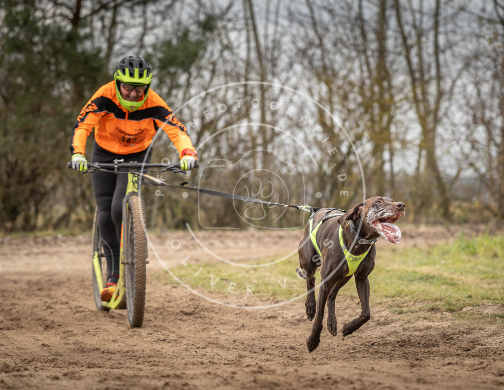 Pfotenfotografie_DV3A9576 | Hundefotografie, Tierfotograf, Pfotenfotografie, Fotoshooting Hund, Hunde Portrait, Hundesport, Hundeportraits, Heideshooting, Hunde, Sportfotograf, Hundefotograf, Turnierhundsport, THS,  - Realisiert mit Pictrs.com