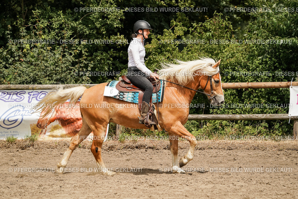 DSC00369 | Pferdegrafie