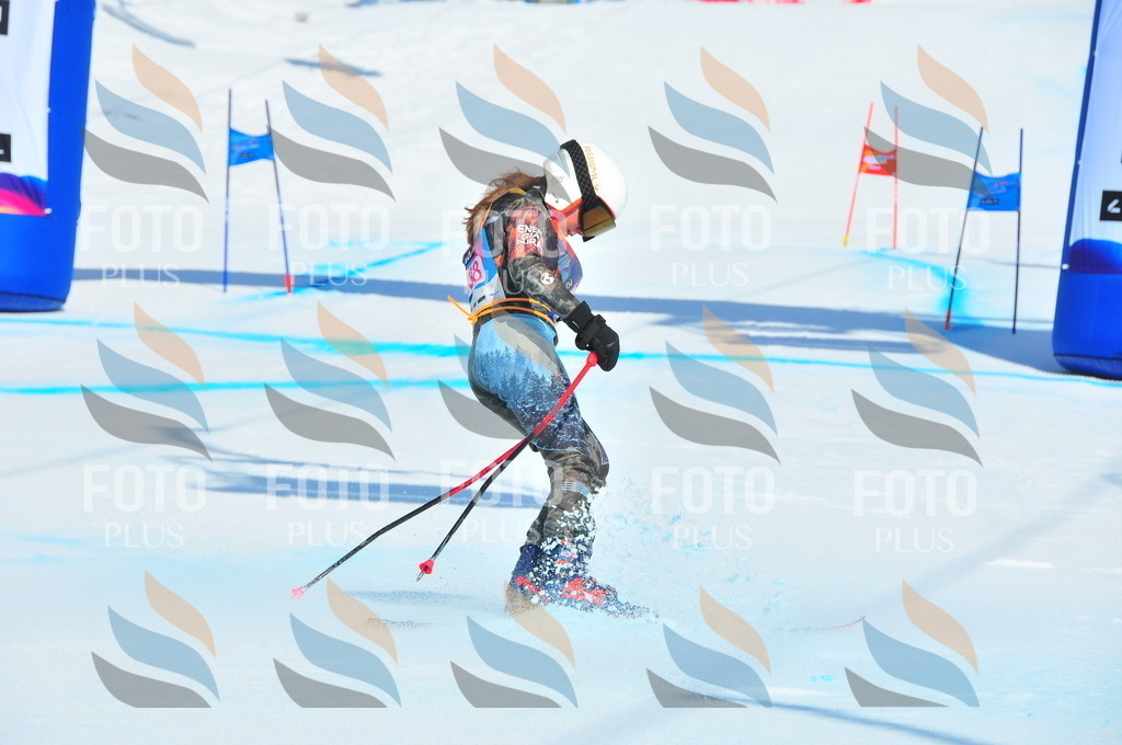 DSC_4949 | holidayphoto