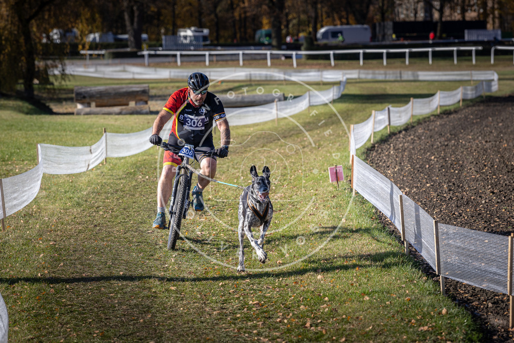 CaniXpix_DV3A6196 | Hundefotografie, Tierfotograf, Pfotenfotografie, Fotoshooting Hund, Hunde Portrait, Hundesport, Hundeportraits, Heideshooting, Hunde, Sportfotograf, Hundefotograf, Turnierhundsport, THS,  - Realisiert mit Pictrs.com