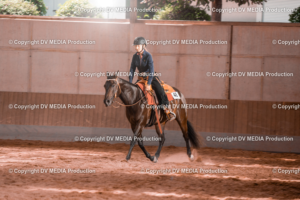 NE200678 | dv-media-shop - Realisiert mit Pictrs.com