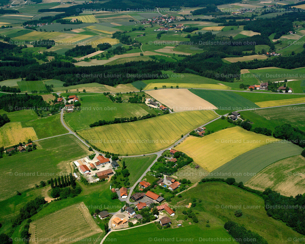 2519576 | Weingarten, Mitterfels