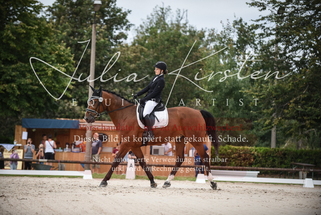 DSC_8065 | Pferde- und Turnierfotografie in Westsachsen. Pferdeportraits, Auftragszeichnungen und intuitive Kunst.