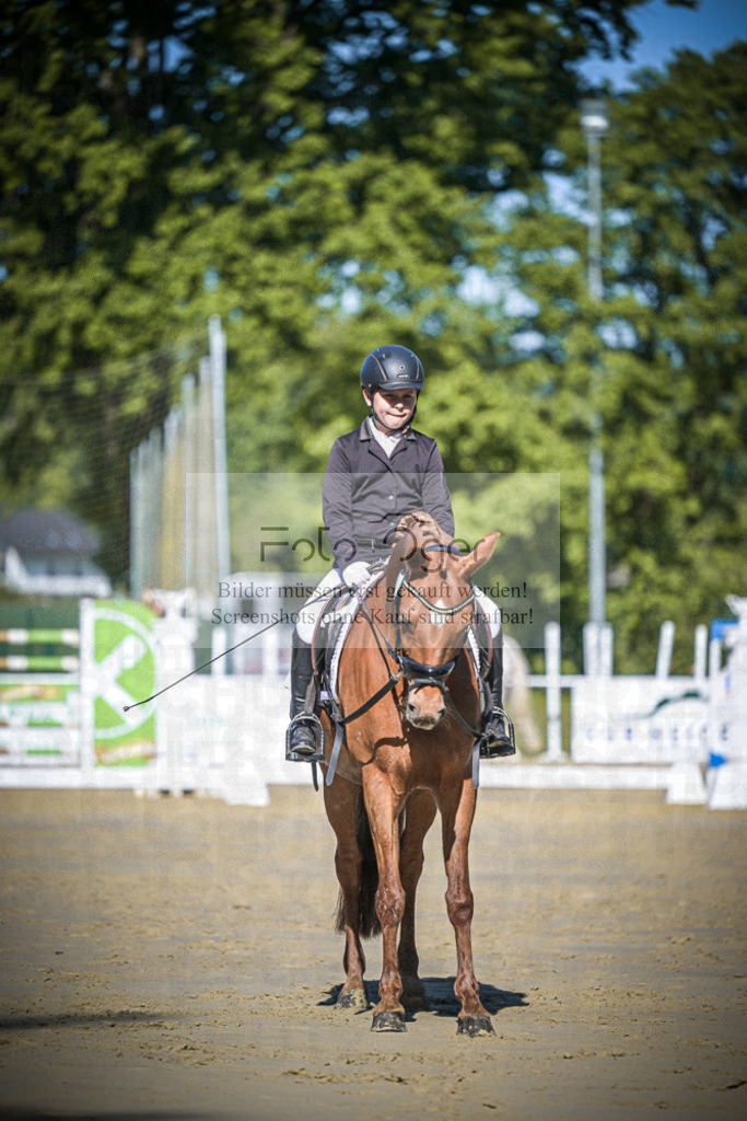 DOS_3515 | Entdecke hochwertige Reitturnierfotos von Foto Oger. Professionell, emotional und authentisch – jetzt Lieblingsmomente im Shop bestellen.Deutschlandweite Turnierfotografie. - Realisiert mit Pictrs.com