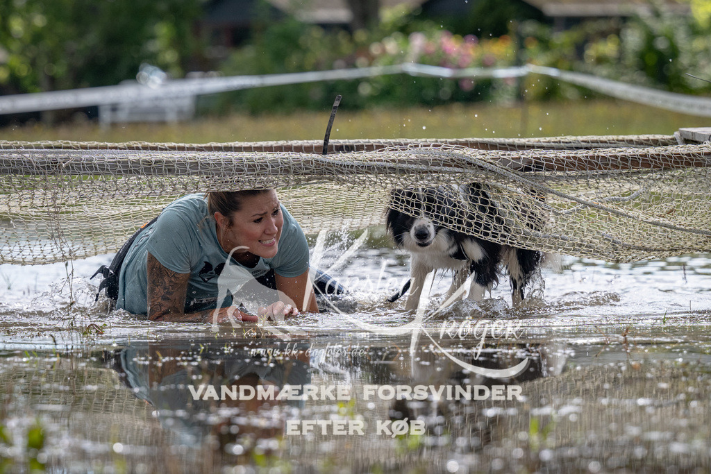 1340_ZZ90571 | kk-dogfotos