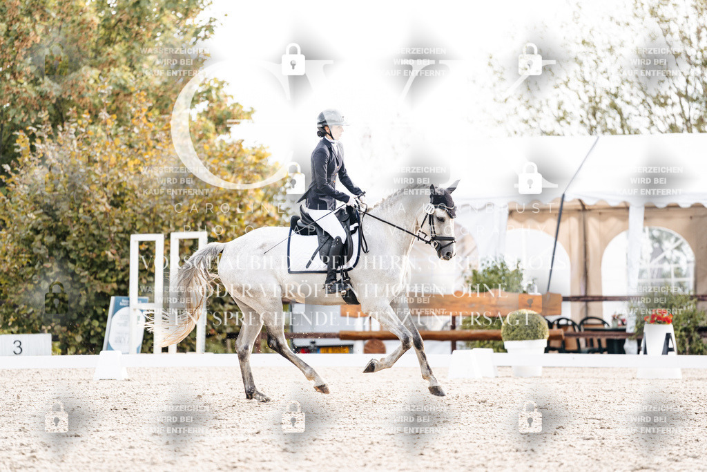 CK900516 | Turnierfotografie Pferdefotografie Trier Rheinland-Pfalz Pferdesport Reitsport Tierfotografie Sportfotografie Pferdevideo Pferdevideografie Equestrianvideography equestrianphotography  - Realisiert mit Pictrs.com