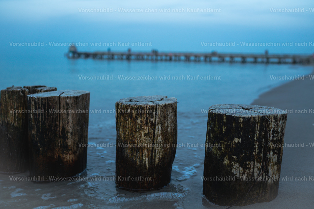 DSC03772 | marcuslinek