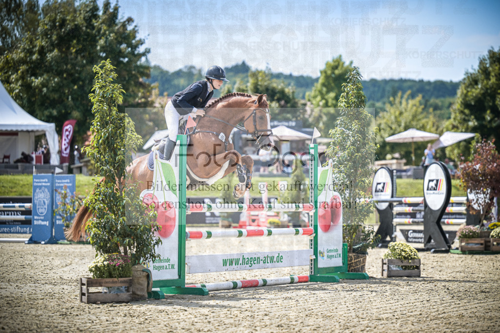 DOS_6076 | Entdecke hochwertige Reitturnierfotos von Foto Oger. Professionell, emotional und authentisch – jetzt Lieblingsmomente im Shop bestellen.Deutschlandweite Turnierfotografie. - Realisiert mit Pictrs.com
