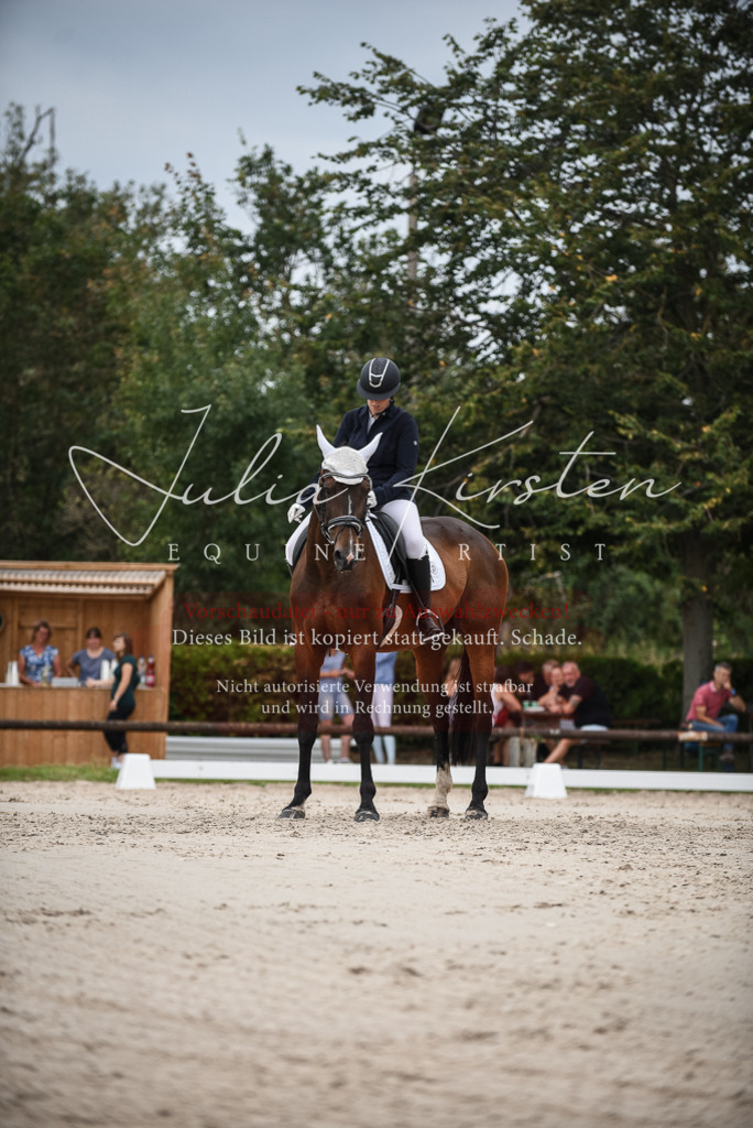 DSC_8470 | Pferde- und Turnierfotografie in Westsachsen. Pferdeportraits, Auftragszeichnungen und intuitive Kunst.