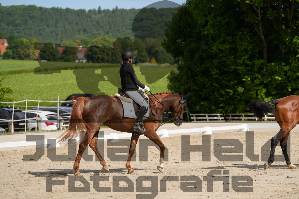 DSC03130 | Julian Held Fotografie - Realisiert mit Pictrs.com