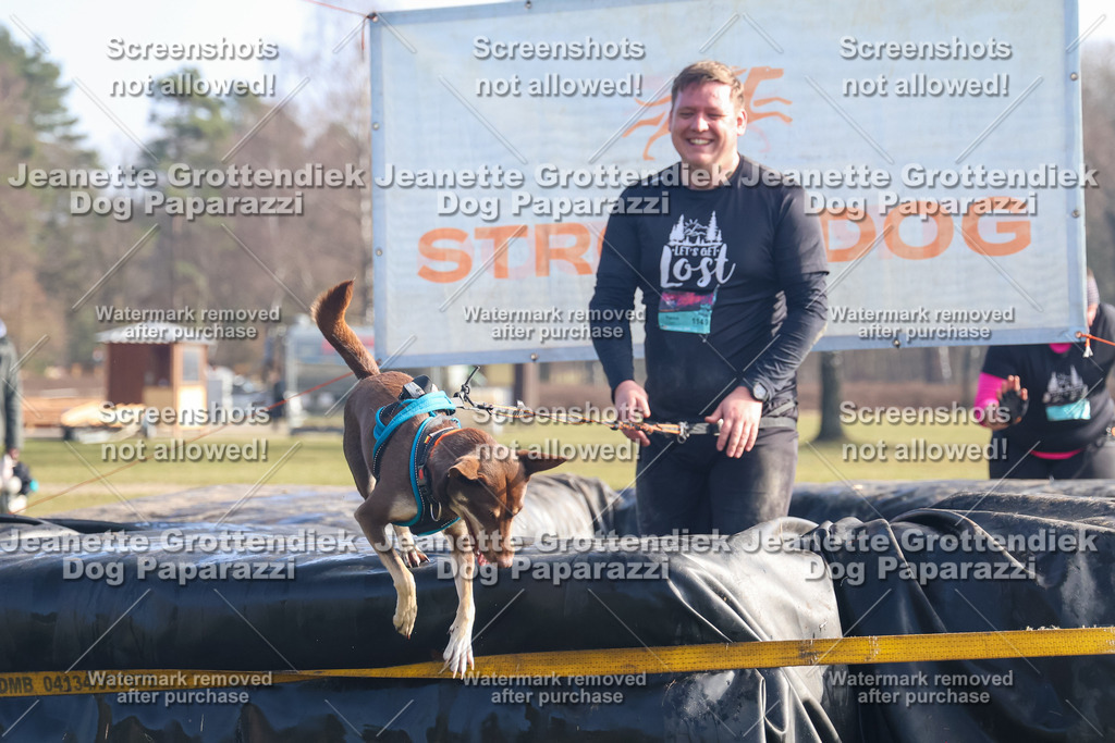 Dog Paparazzi - Strongdog North Mrz26-857 | Dog Paparazzi Jeanette Grottendiek Fotografie & Videografie - Realisiert mit Pictrs.com