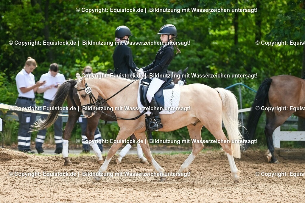 20230716_10-3_Reiter-WB Schritt - Trab - Galopp_0106 | equistock