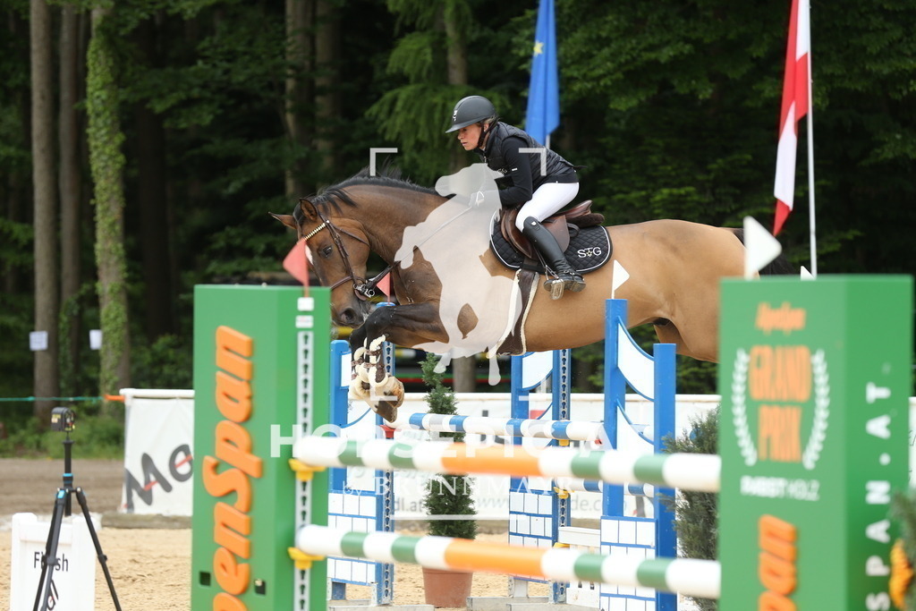 DL2Q2559 | Willkommen bei Brunnmayr - Design & Fotografie – Ihrem Spezialisten für Reitturniere und Pferdeveranstaltungen in Oberösterreich, Salzburg und Bayern! Seit über 17 Jahren sind wir leidenschaftlich dabei.