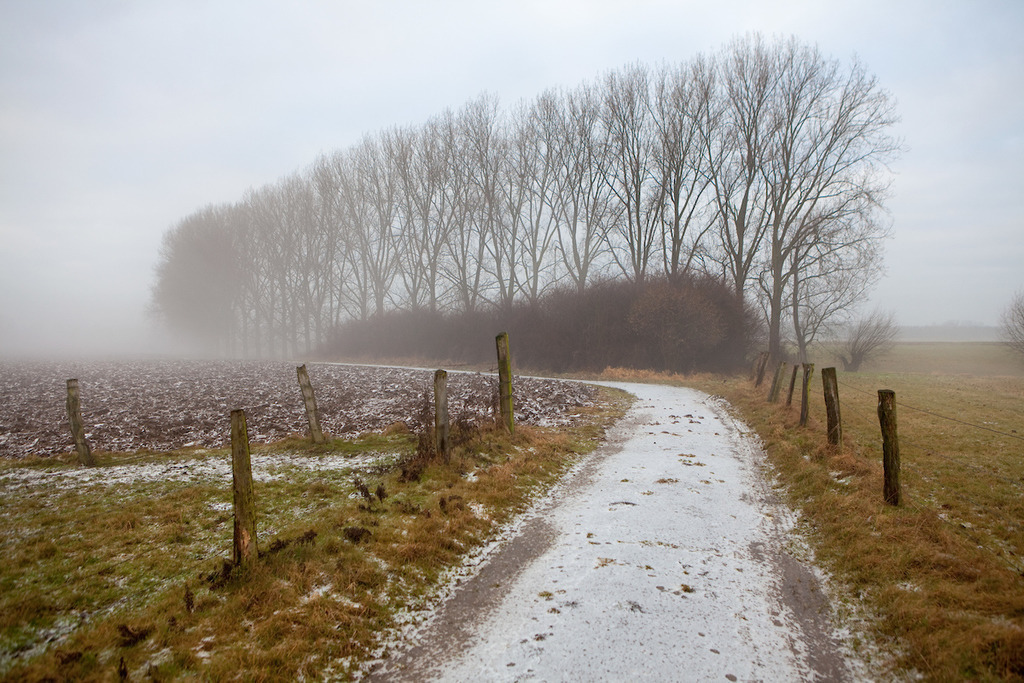 170108-127 | Europa, DEU, Deutschland, NRW, Nordrhein Westfalen, Niederrhein, Rheinland, Xanten, Naturschutzgebiet Xantener Altrhein, Bislicher Insel, Typische Landschaft, Winter, Dunst, Nebel, Frost, Pappelbaeume, Kategorien und Themen, Natur, Umwelt, Landschaft, Jahreszeiten, Stimmungen, Landschaftsfotografie, Landschaften, Landschaftsphoto, Landschaftsphotographie, Wetter, Wetterelemente, Wetterlage, Wetterkunde, Witterung, Witterungsbedingungen, Wettererscheinungen, Meteorologie, Wettervorhersage

[Fuer die Nutzung gelten die jeweils gueltigen Allgemeinen Liefer-und Geschaeftsbedingungen. Nutzung nur gegen Verwendungsmeldung und Nachweis. Download der AGB unter http://www.image-box.com oder werden auf Anfrage zugesendet. Freigabe ist vorher erforderlich. Jede Nutzung des Fotos ist honorarpflichtig gemaess derzeit gueltiger MFM Liste - Kontakt, Uwe Schmid-Fotografie, Duisburg, Tel. (+49).2065.677997, ..archiv@image-box.com, www.image-box.com] - Realisiert mit Pictrs.com