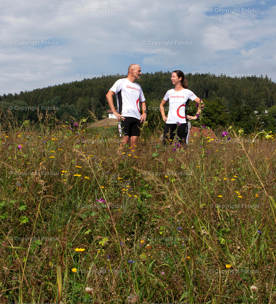 OBERBANKBIENENWIESE_260822_11 | bilder, linz, photo, foto, fussball, sport, fotolui, bundesliga