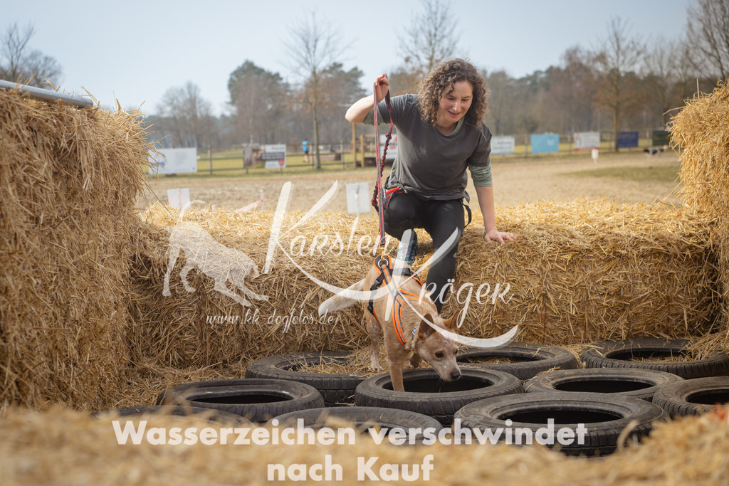 1022_ZZ94608 | kk-dogfotos